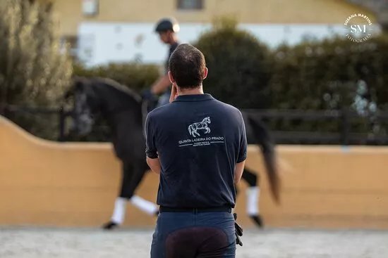 QLP - Horse Training & Equestrian Tourism