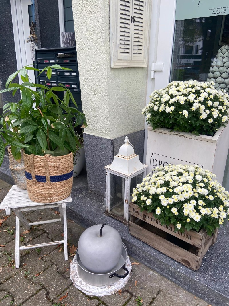 Cafe Einundsechzig