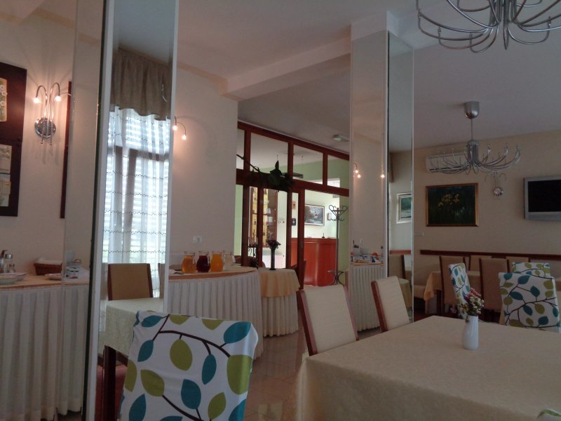 Hotel Mladimir