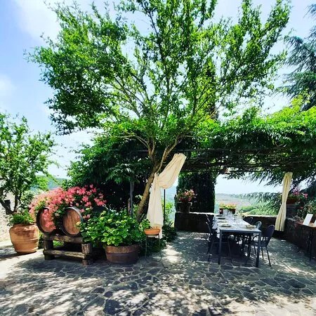 Azienda Agricola Casanova Di Bricciano