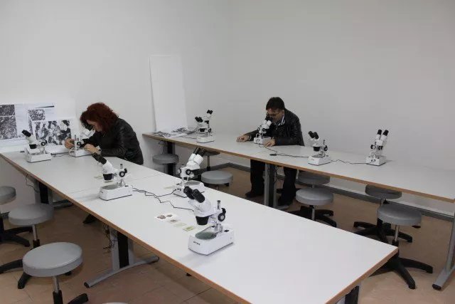 Museo Paleontologico