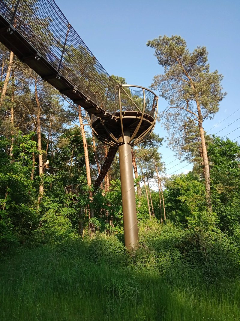 Park linowy i Scianka wspinaczkowa