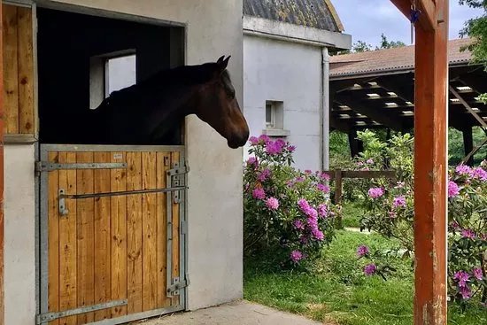 Centre Equestre La Gourmette