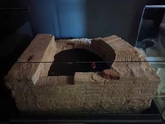 Museu de Sant Boi de LLobregat