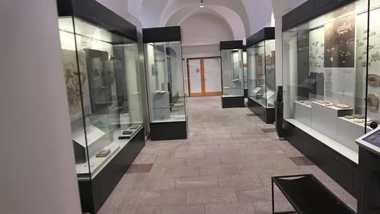 Musee Paleontologique de Zurich