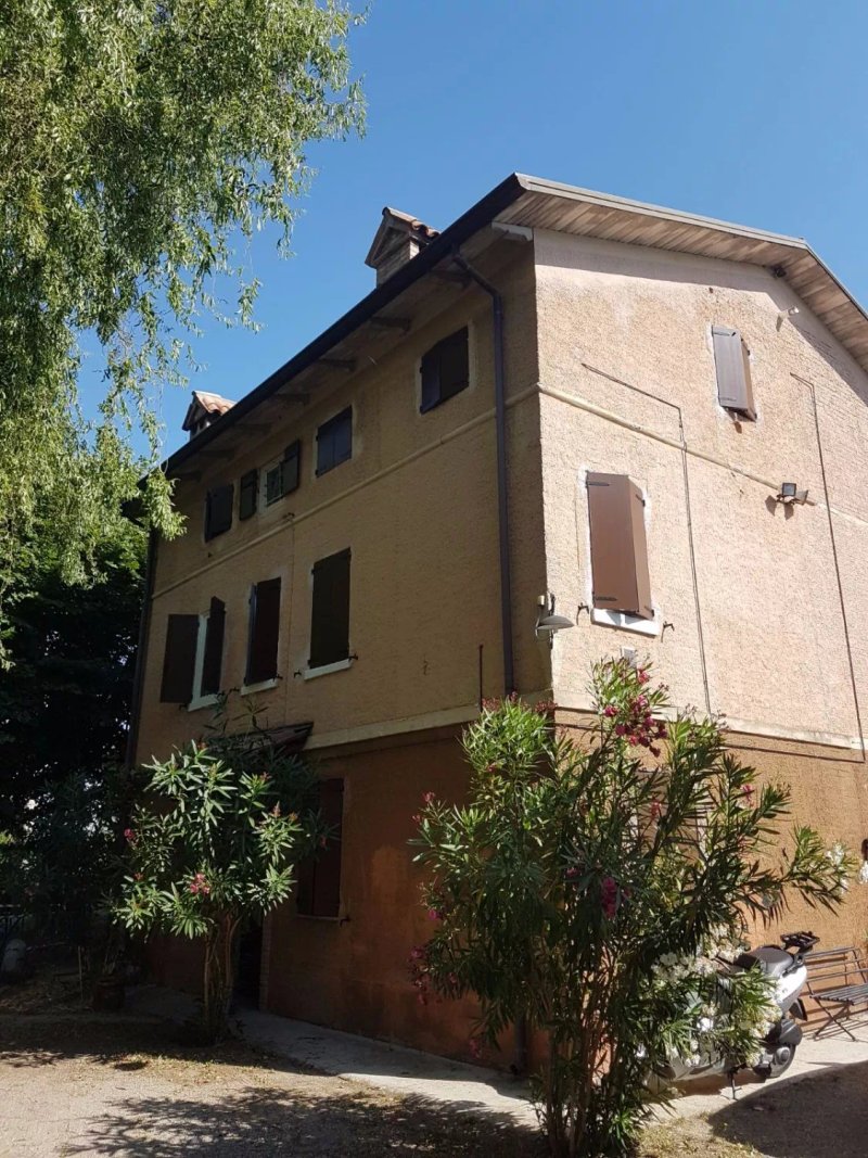 La Corte delle Civette