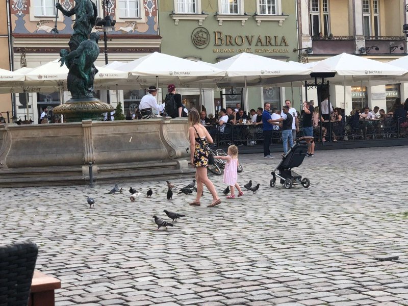 Stary Rynek Mokra Estate Center