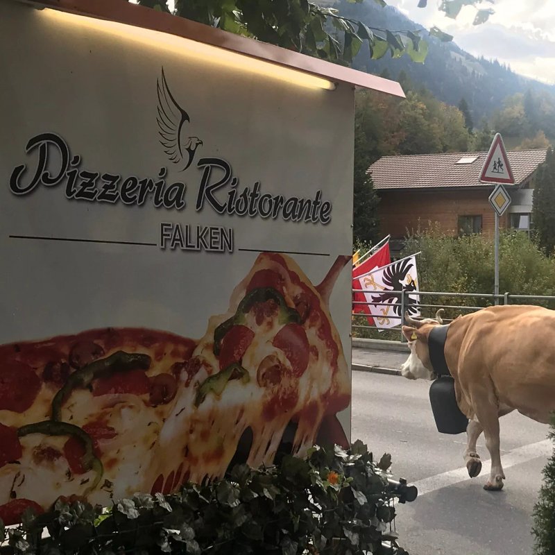 Falken Pizzeria