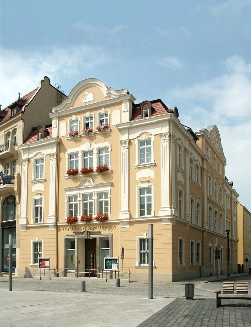 Senckenberg Naturkundemuseum Gorlitz