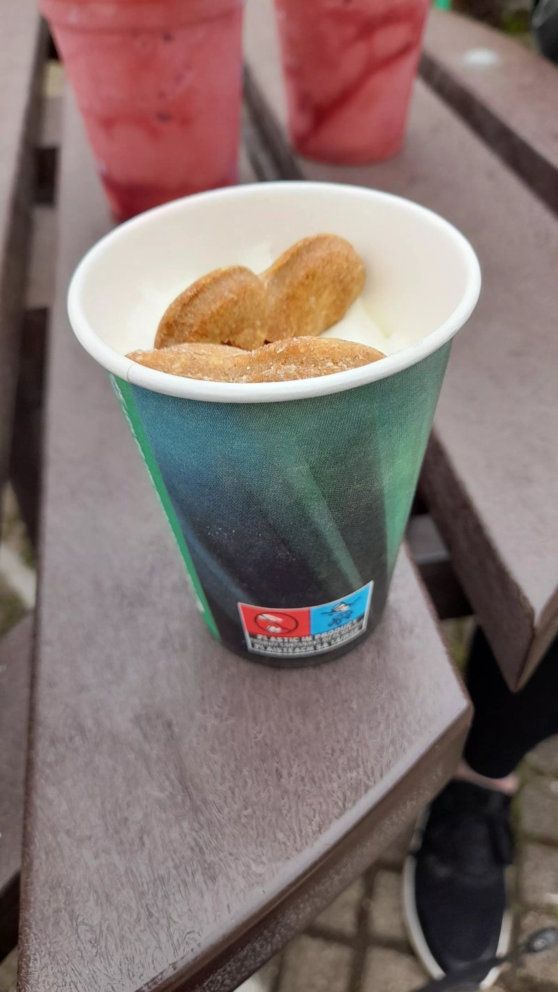 The Tournament Cafe