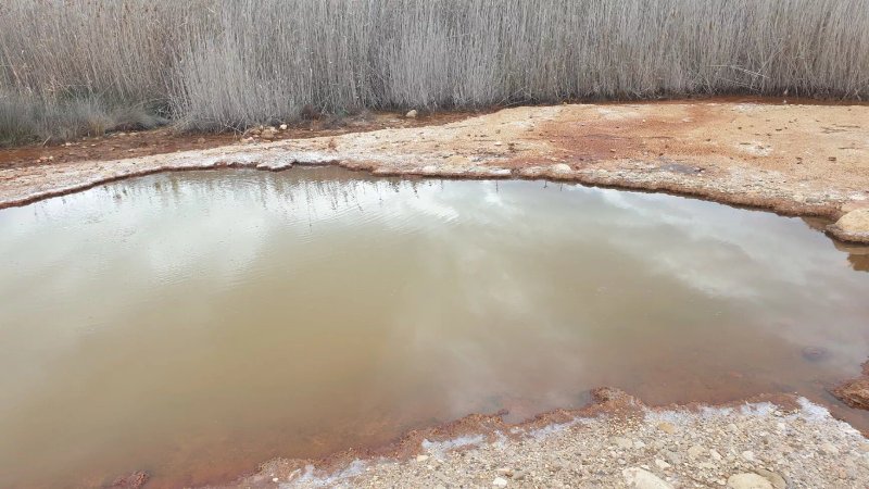 Clot De La Sal