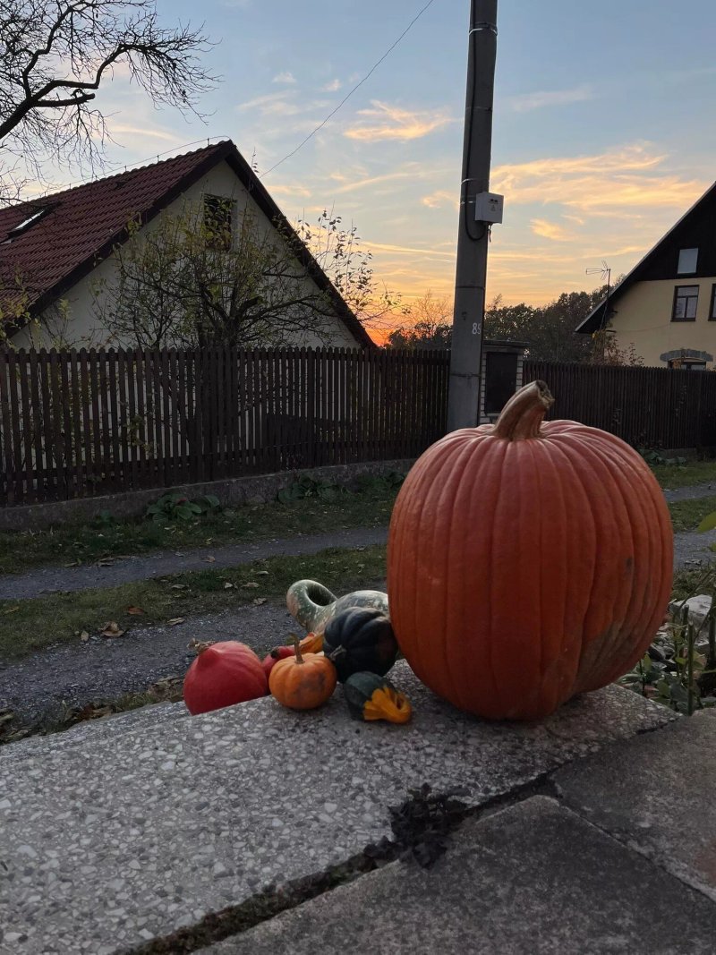 Pension S Láskou Karel