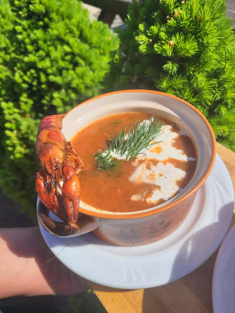 Zajazd Nad Stawem - Restauracja