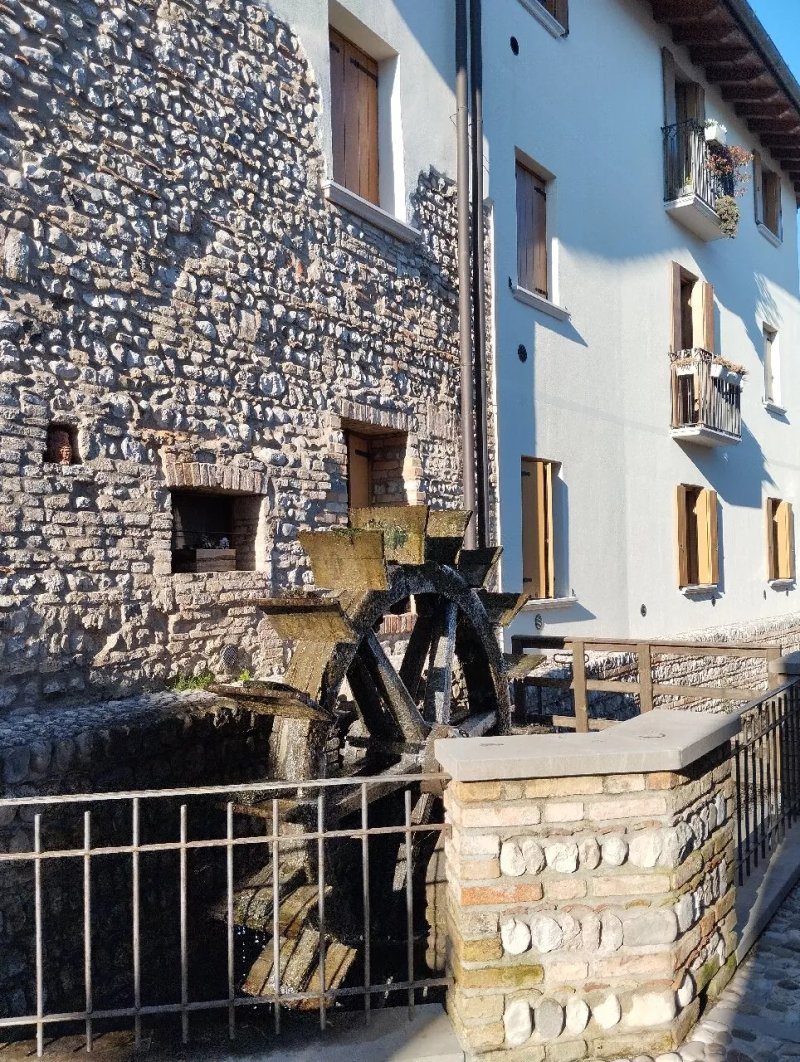 Rovere Dalla Riva