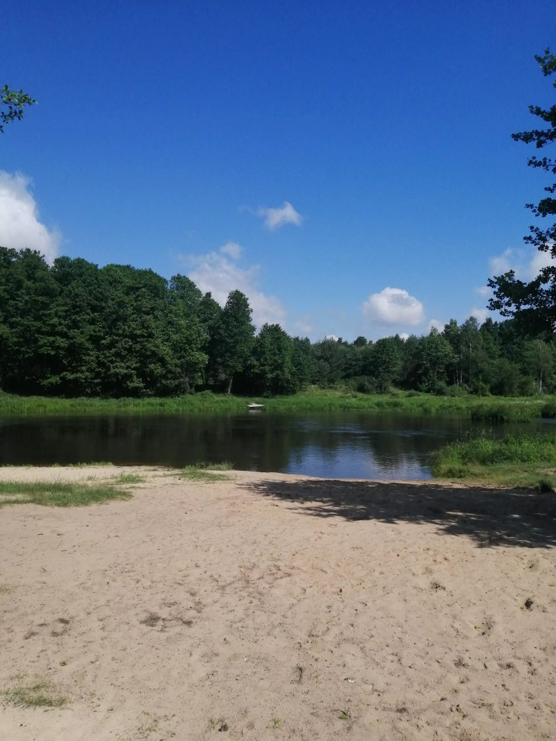 Zacisze Lesne nad pilica