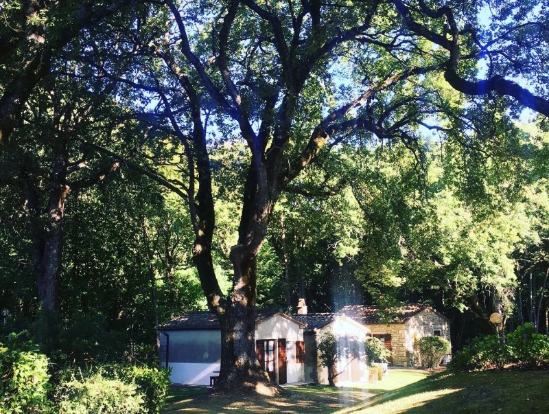 Agriturismo Il Palazzo