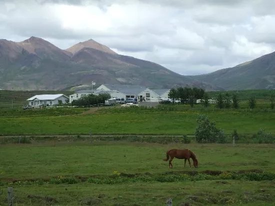 Laxnes Horse Farm