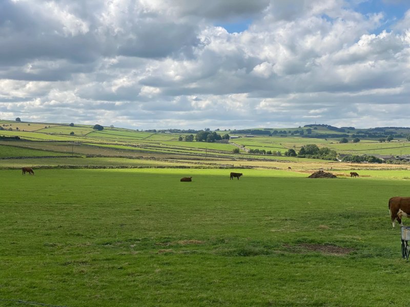 Five Acres Farm Campsite