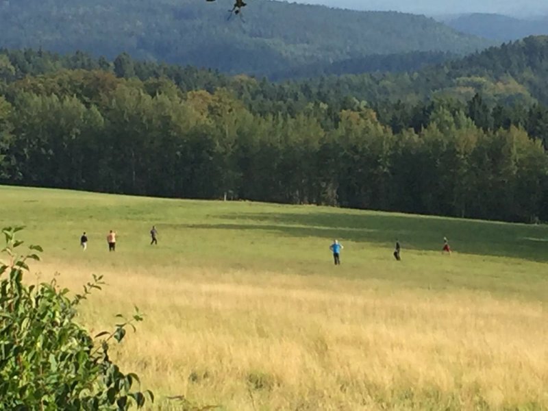 Hotel Zum Hochwaldblick