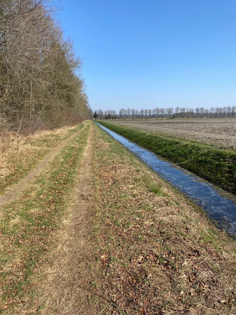 B&b Schoonloo - Boerderij Appartementen
