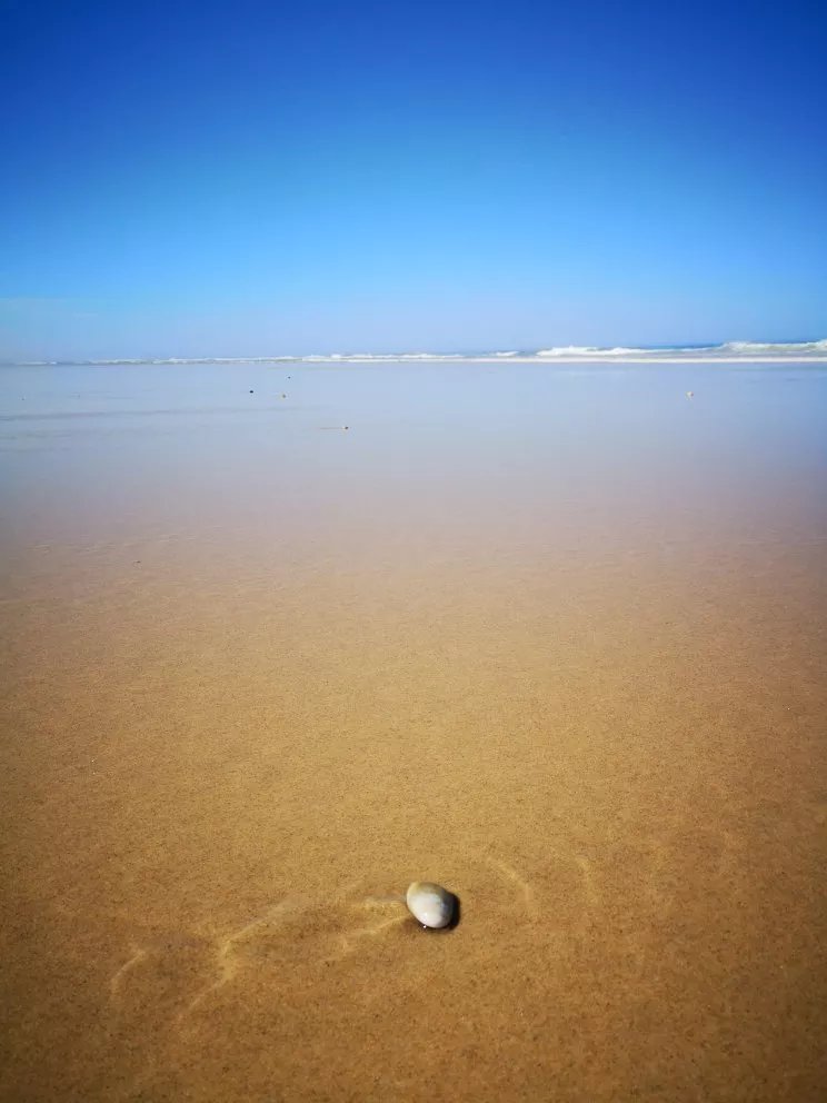 La Plage Oceane