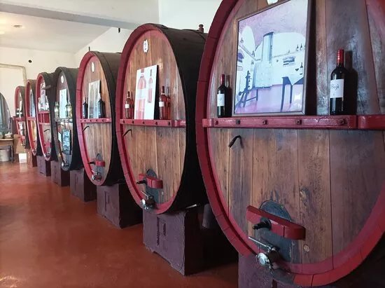 Azienda Agricola Pietro Piovano