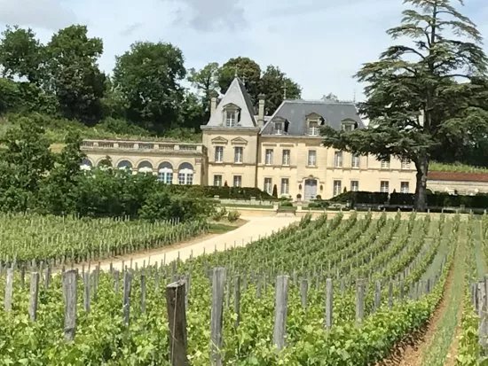 Chateau Fonplegade