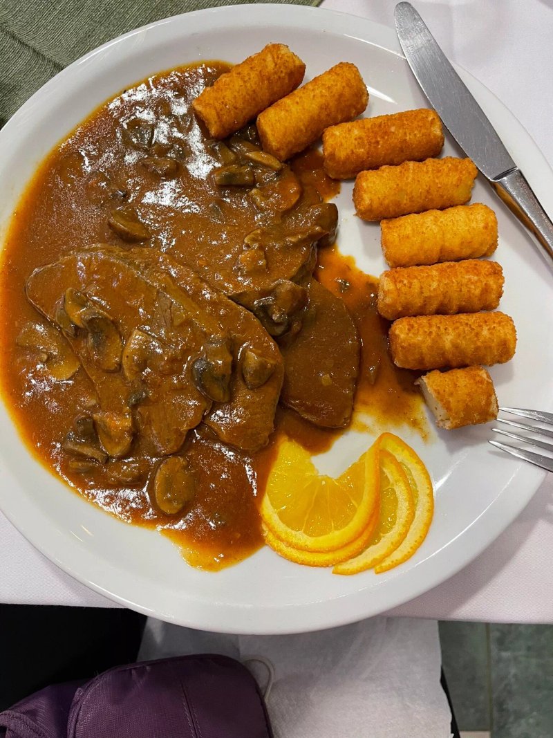 Vila Garic