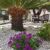 Il Giardino Di Stella