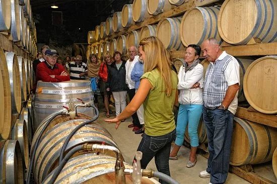 Mallorca Wine Tours