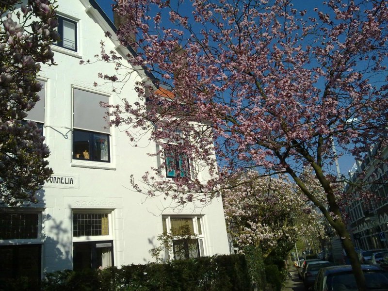 Villa Cornelia Bed & Breakfast