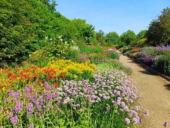 Breezy Knees Gardens