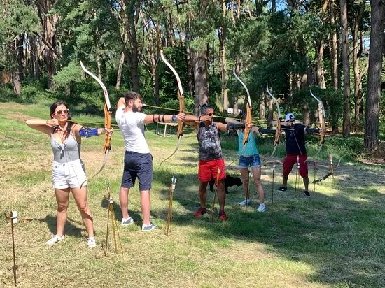Insight Activities New Forest