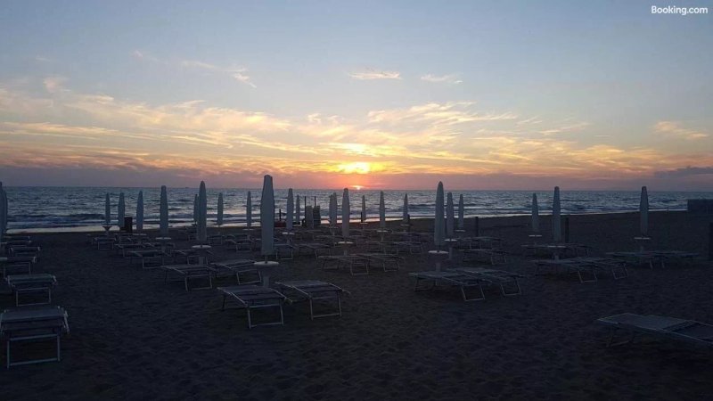 Oasy Apartament