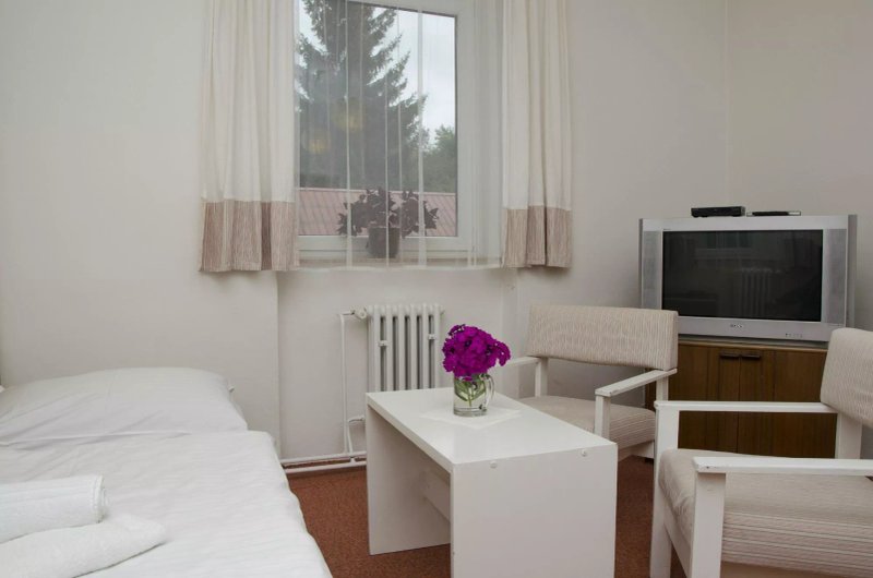 Mlyn Brejlov