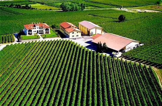 Azienda Agricola Monte del Fra