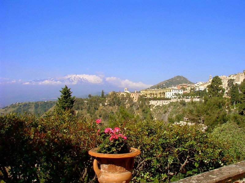 nelly's guest house