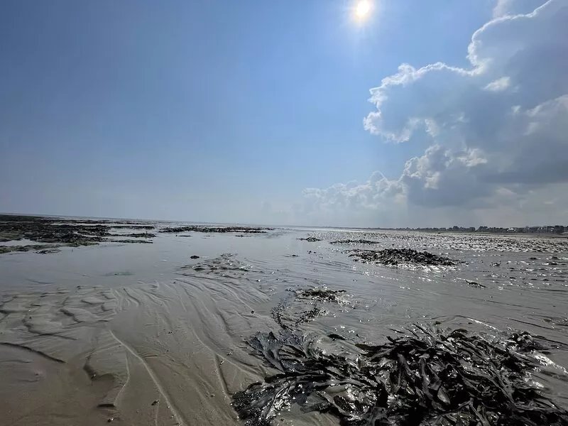 Maison Entièrement Rénovée Située à 50 Mètres de la mer Jardin 4 Chambres 2 SDB