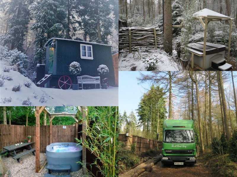 Holiday Cabins in the Forest