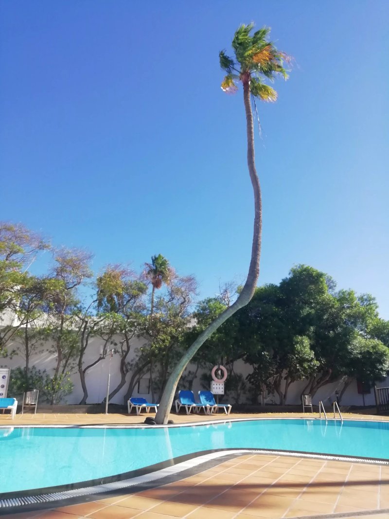 Apartamentos Fayna Puerto del Carmen
