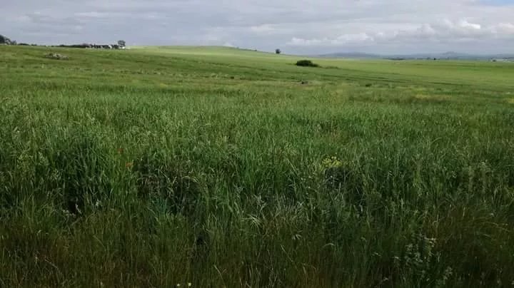 Agrituristica Antica Tuticum