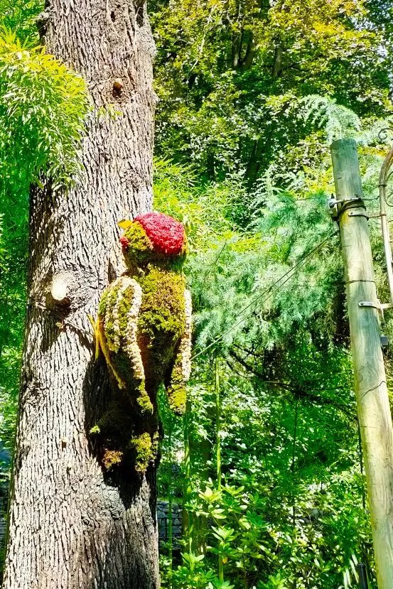 Il Giardino Degli Animali