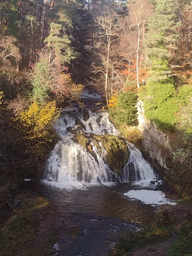 The Invergarry