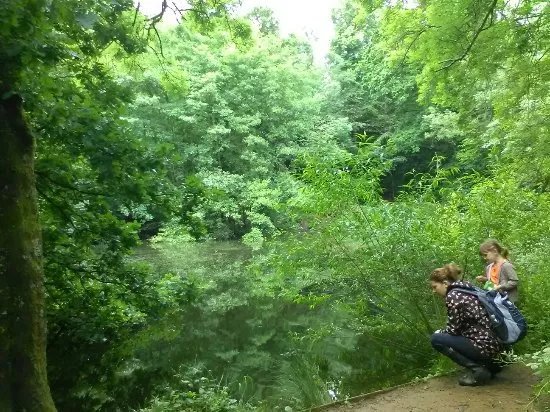 CS Lewis Community Nature Reserve