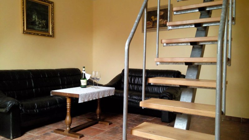 Restaurace penzion Nemansky mlyn