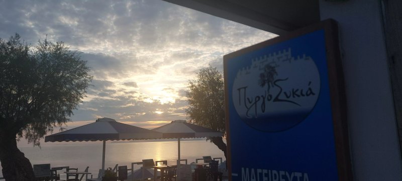 Pyrgosykia Cafe