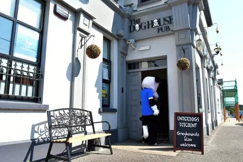 The Dog House pub