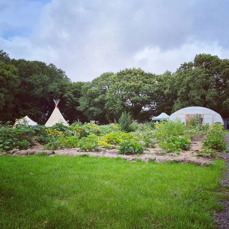 Rebel Farmer Tipi