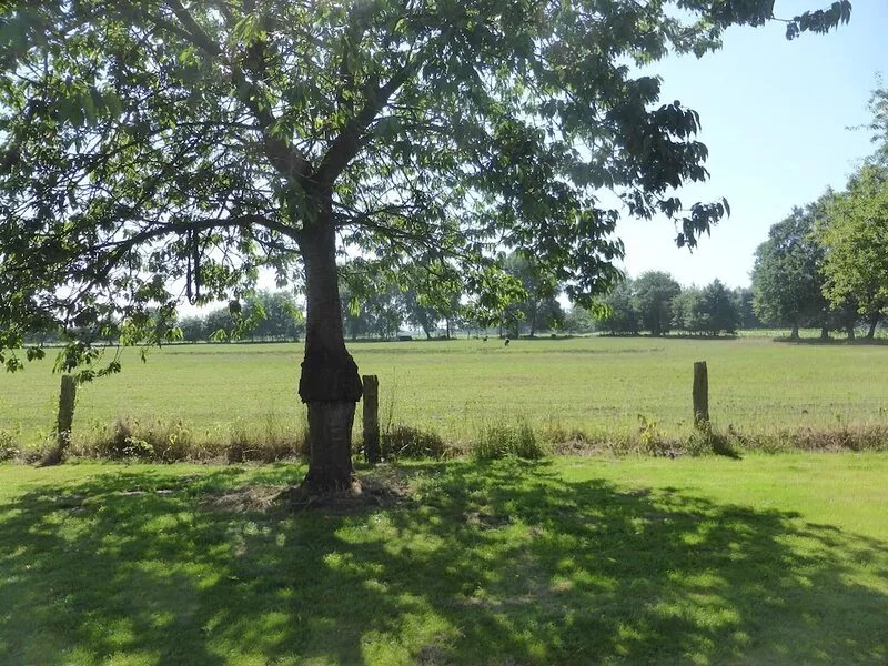 Family-friendly cycling paradise between Bremen and Bremerhaven