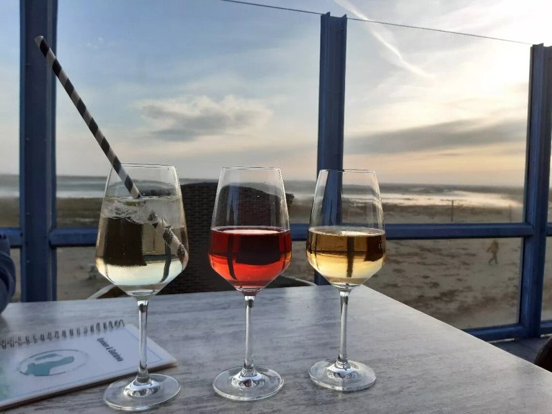 Strandbar Seehund